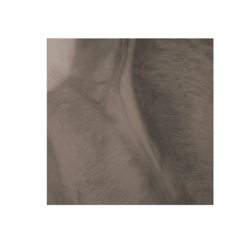 PY61006 600x600mm POLISHED DOVE GREY 1.44/m² PORCELAIN FLOOR TILE