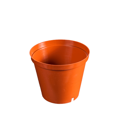 ROUND PLASTIC TERRA 10cm PLANT POT