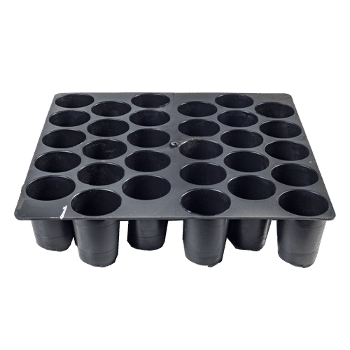 30 CAVITY BLACK SEED TRAY