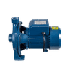 TERRIER 1.5 hp PKM180 1,.1kw 220v WATER PUMP