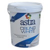 ASTRA PVA WHITE 20Lt CEILING PAINT