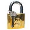 TRI-CIRCLE BRASS 38mm PADLOCK