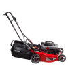 TANDEM RATEL TORX 200cc LAWNMOWER