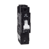 HEINEMANN 1 POLE 100a ISOLATOR