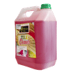 MILLENIUM CLEAN 5Lt TILE CLEANER
