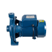 TERRIER 1.5 hp PKM180 1,.1kw 220v WATER PUMP