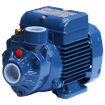 PEDROLLO SINGLE PHASE PKm60 0.37kw 220v PERIPHERAL WATER PUMP