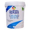 ASTRA PVA WHITE 20Lt CEILING PAINT