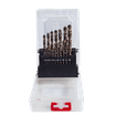 WORKSITE 19PIECE HSS DRILL BIT SET
