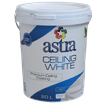 ASTRA PVA WHITE 20Lt CEILING PAINT