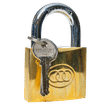 TRI-CIRCLE BRASS 38mm PADLOCK