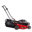 TANDEM RATEL TORX 200cc LAWNMOWER