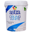 ASTRA PVA WHITE 20Lt CEILING PAINT