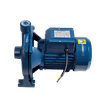 TERRIER 2HP 1.5kw WATER PUMP