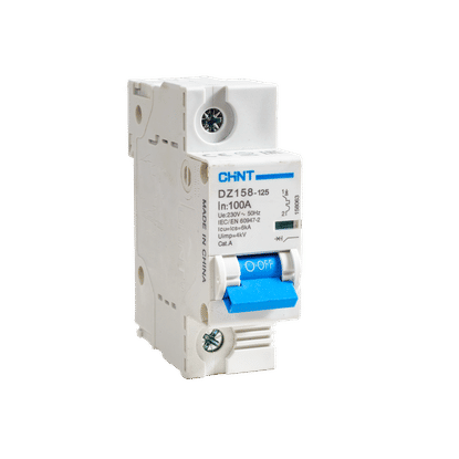 CHINT SINGLE POLE 6Ka 100a MCB