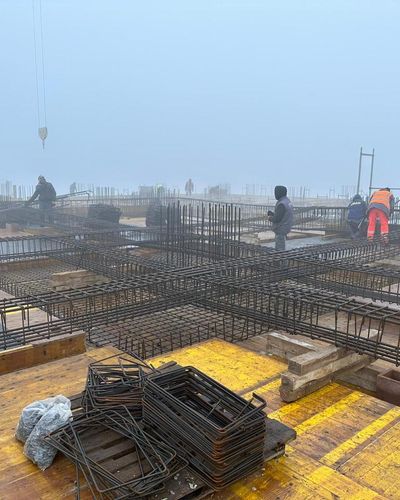 Projekt 24