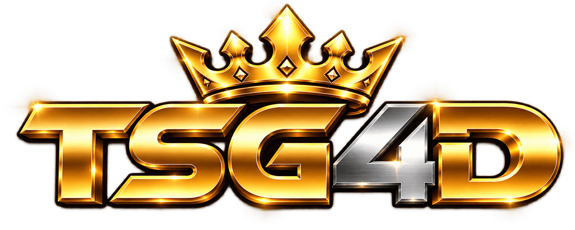 LOGO TSG4D