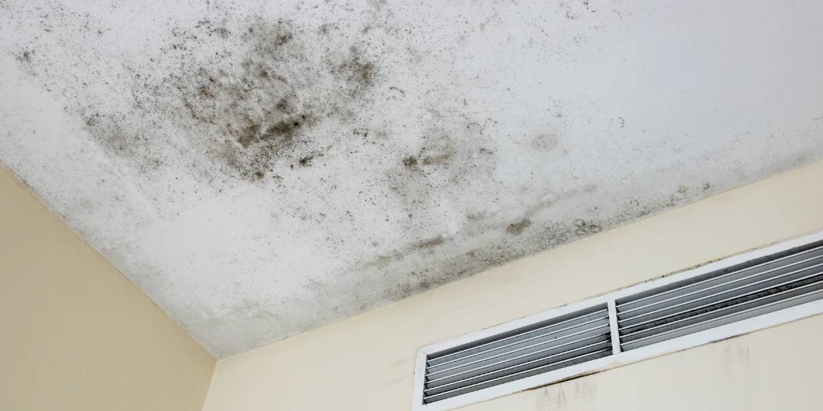 Best Hurricane Damage Restoration in Penns Grove, NJ