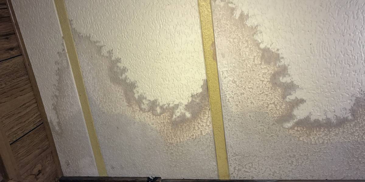 Mold Removal Contractor in Novi, MI