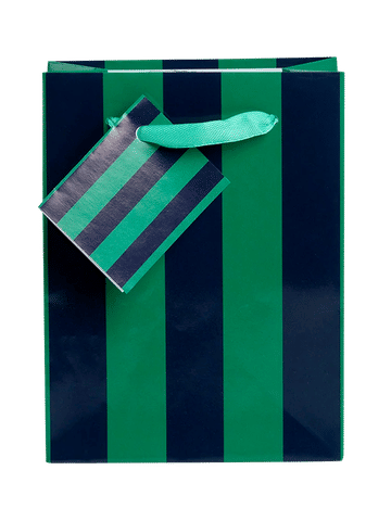 Colorful Striped Graphic Gift Bag