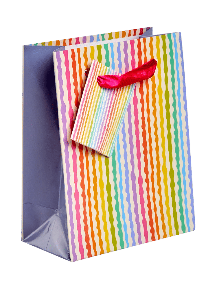 Colorful Striped Graphic Gift Bag (5)