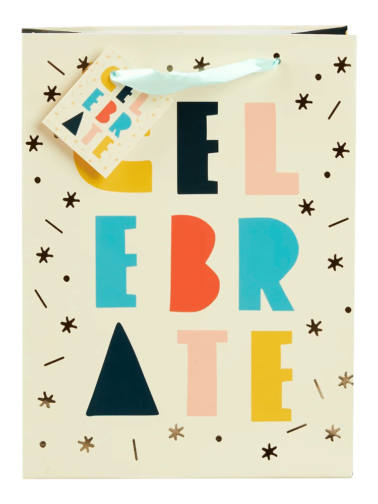 Medium Glitter Gift Bag with Ribbon Handle (1)