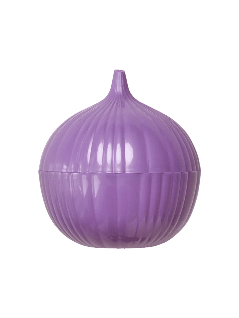 Purple Plastic Onion Storage Keeper