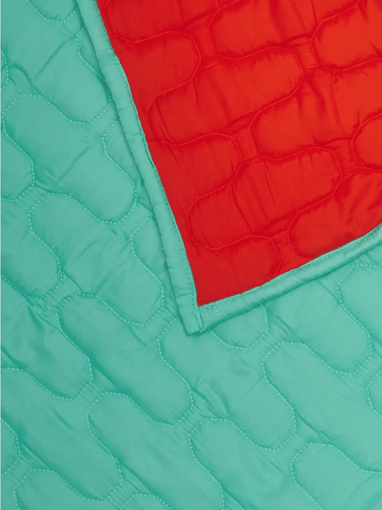 Queen Bed Ice Green And Orange Microfleece Tonal Comforters (2)