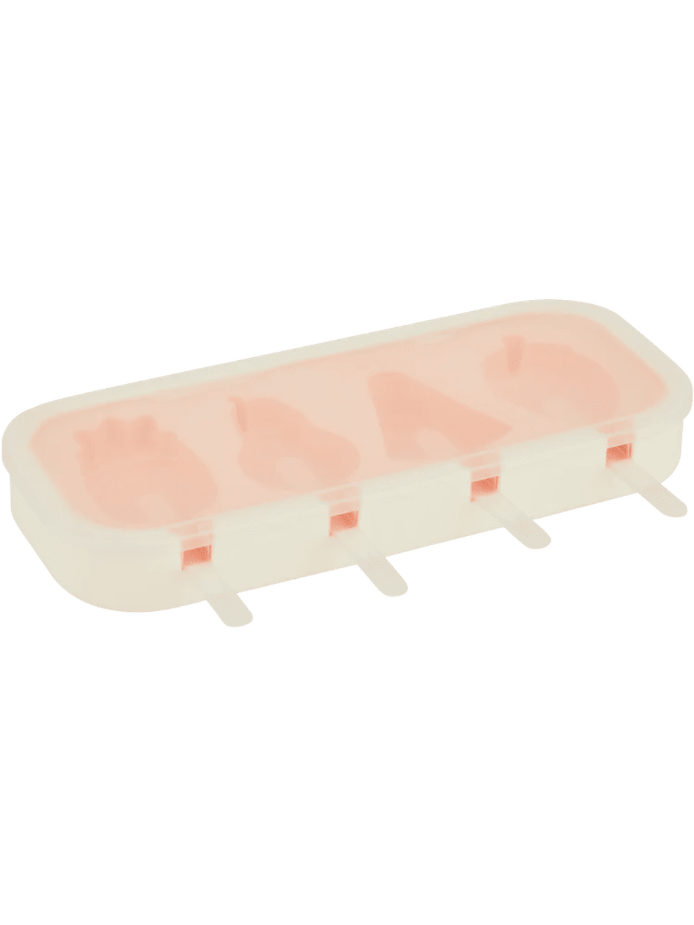 Fruit Iced Lolly Mould (1)