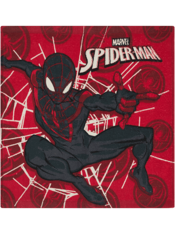 Spider-Man Character Face Cloth