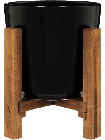 Small Black Pot On Stand