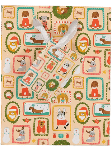 Small Christmas Gift Bag (Design/Colour may vary)