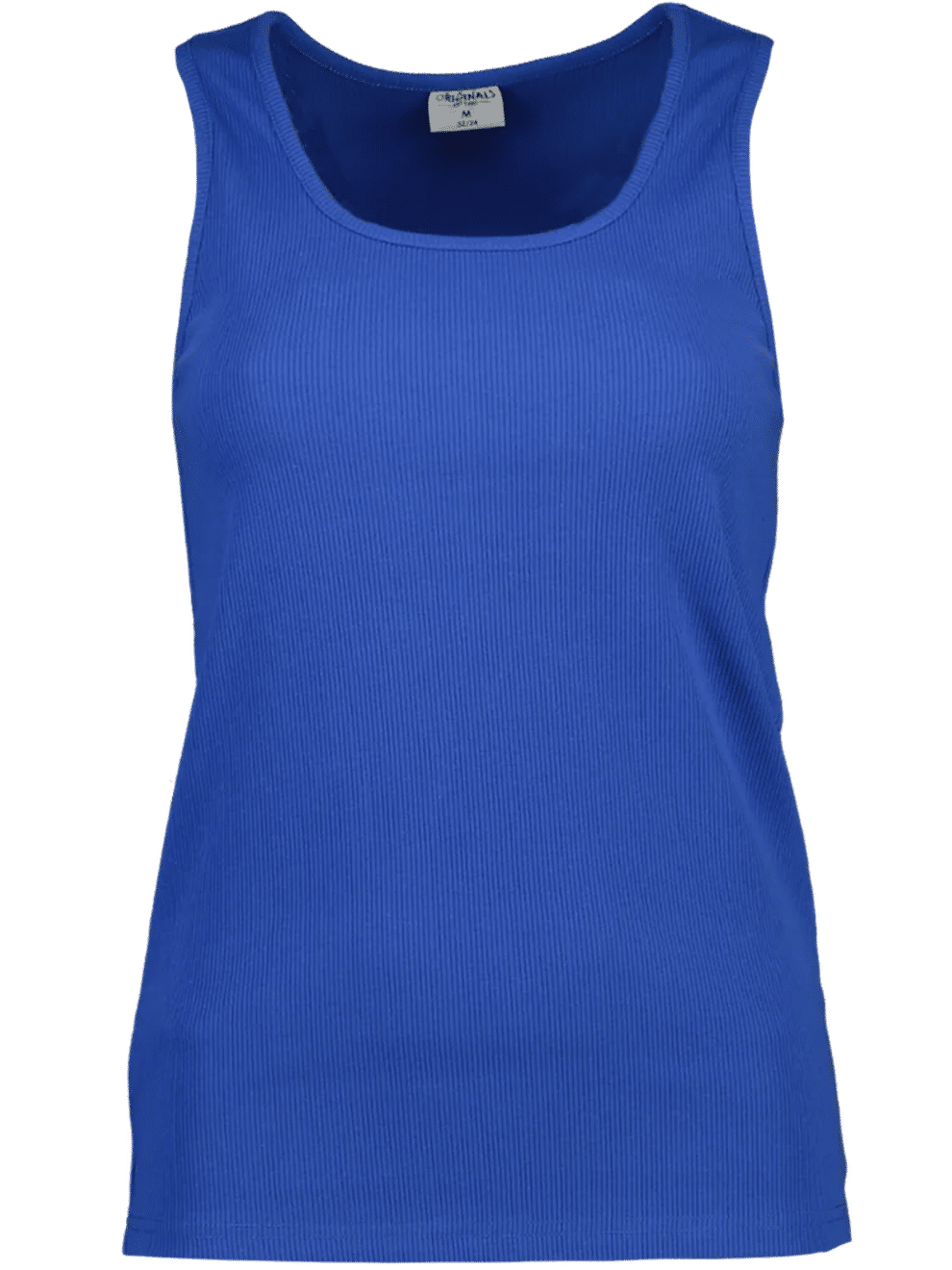 Blue Vest