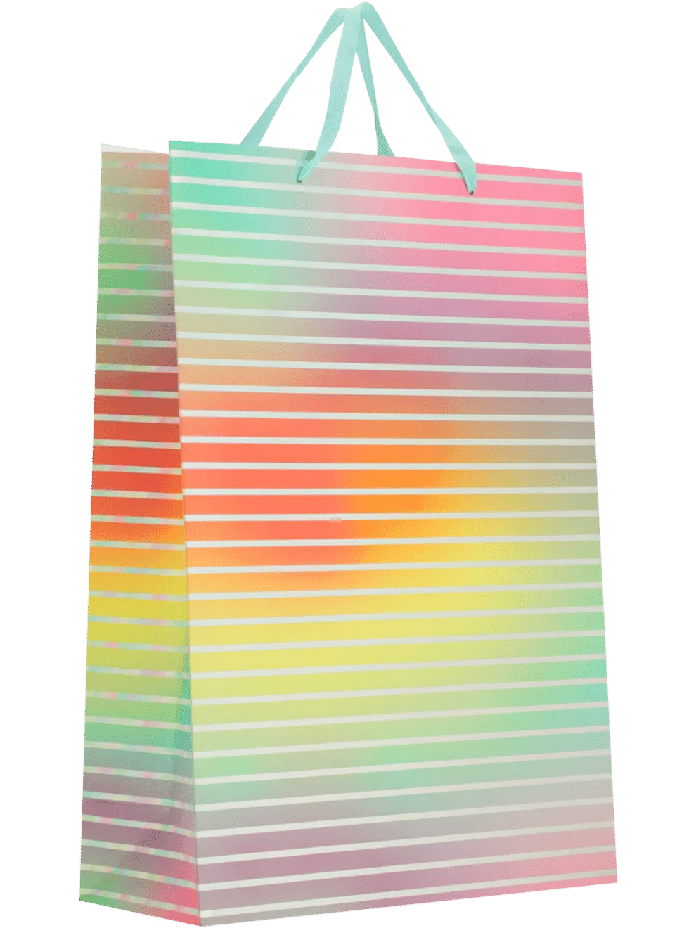 Luxury Extra Large Gift Bag (3)