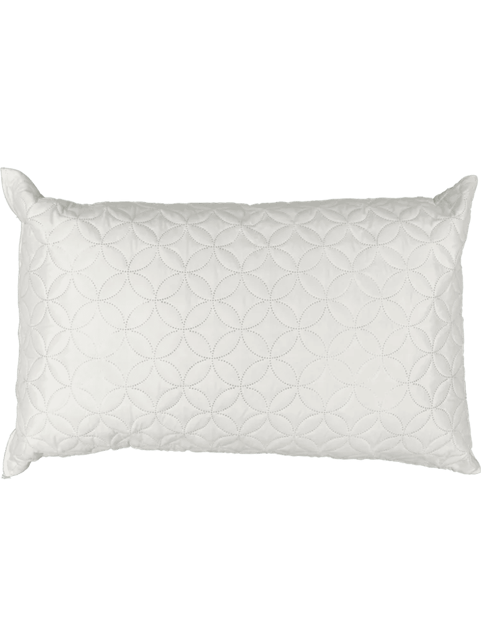 Standard Latex Pillow (2)
