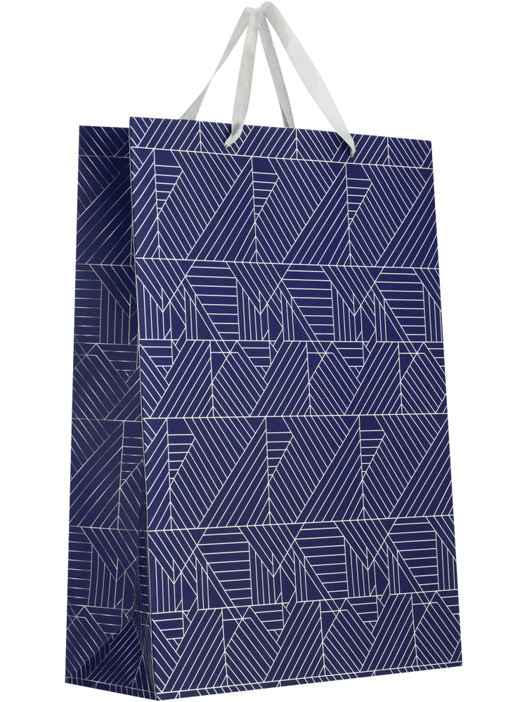 Blue Geometric And Squiggle Gift Bag (3)