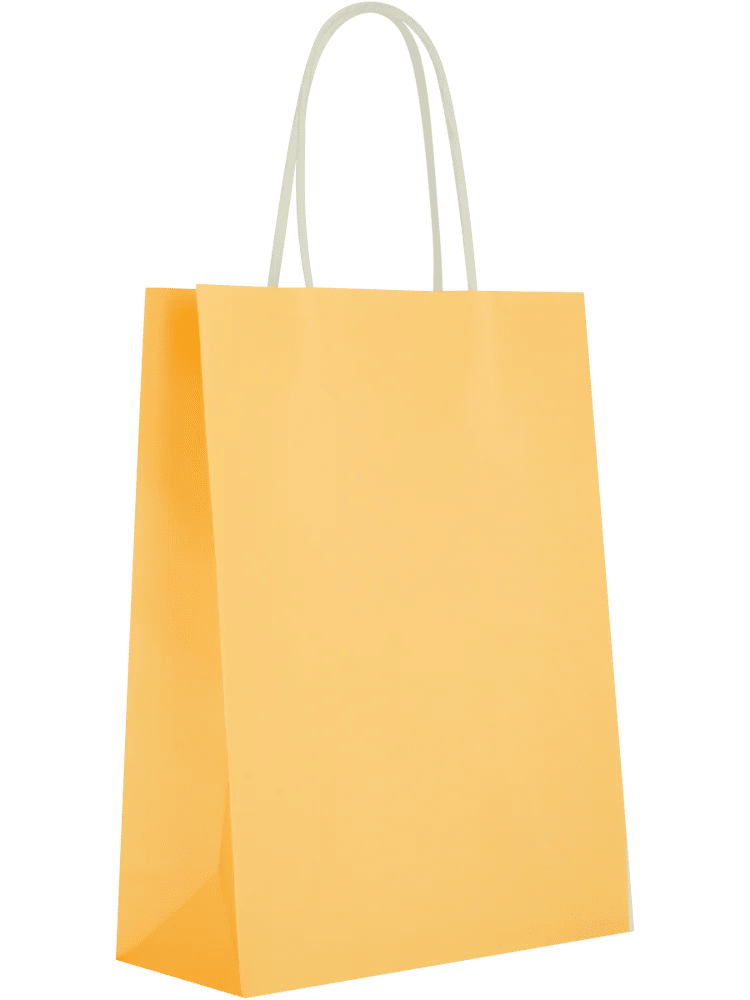 6 Pack Assorted Solid Colour Paper Gift Bags (9)