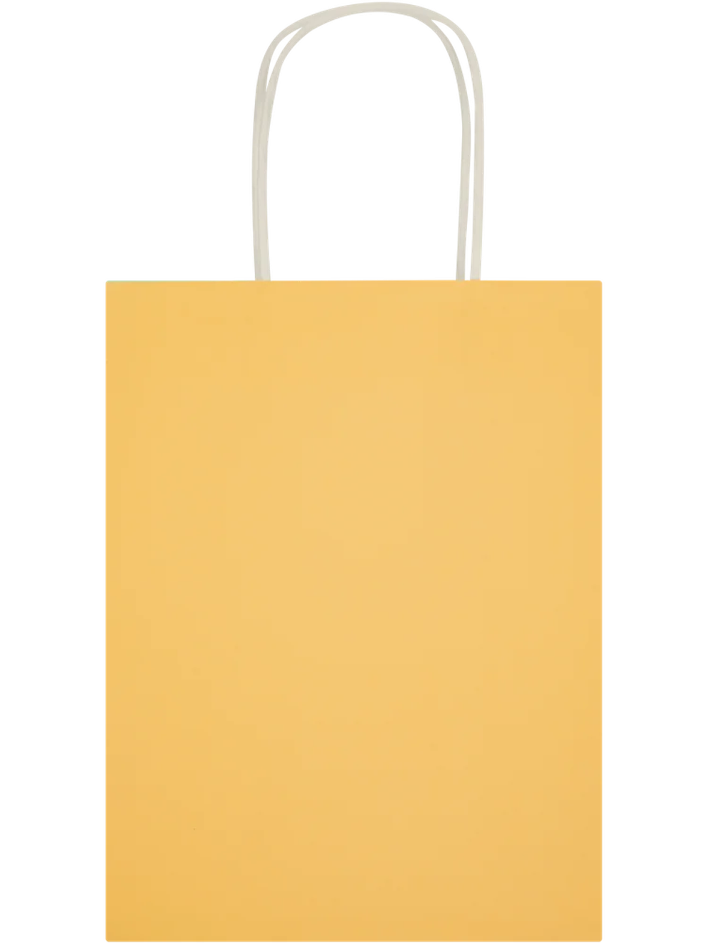 6 Pack Assorted Solid Colour Paper Gift Bags (3)