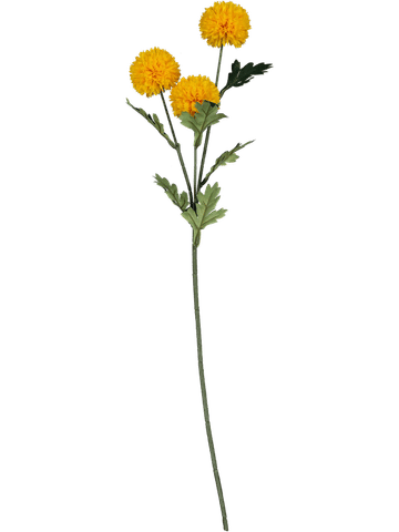 Yellow Marigold Flower