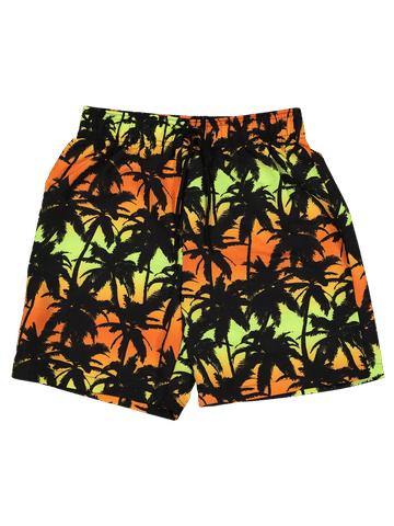 Palm Trees Graphic Shorts