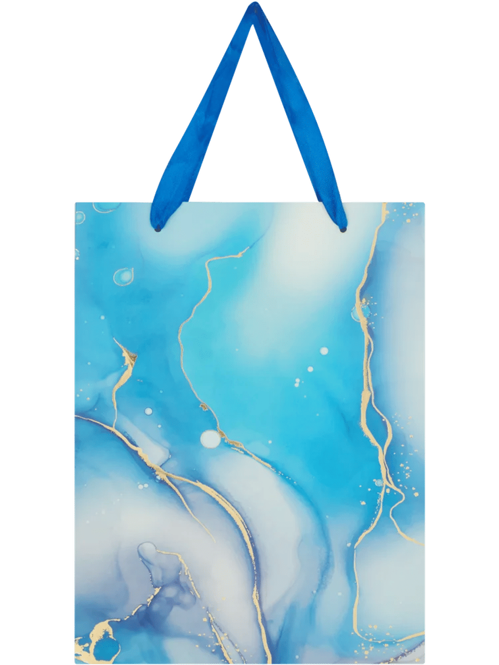 Yay And Blue Gift Bag