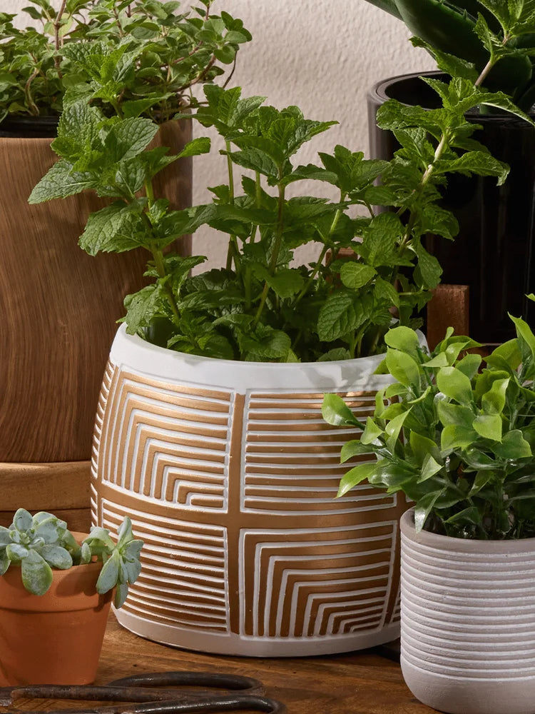 Geo Gold Flower Pot