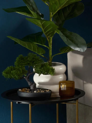 Flower Pot With Tray