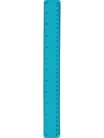 Flexi Ruler