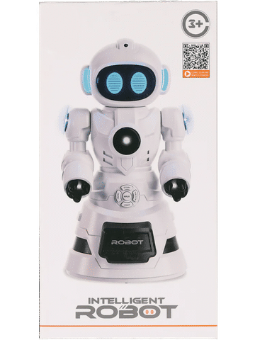 Intelligent Robot