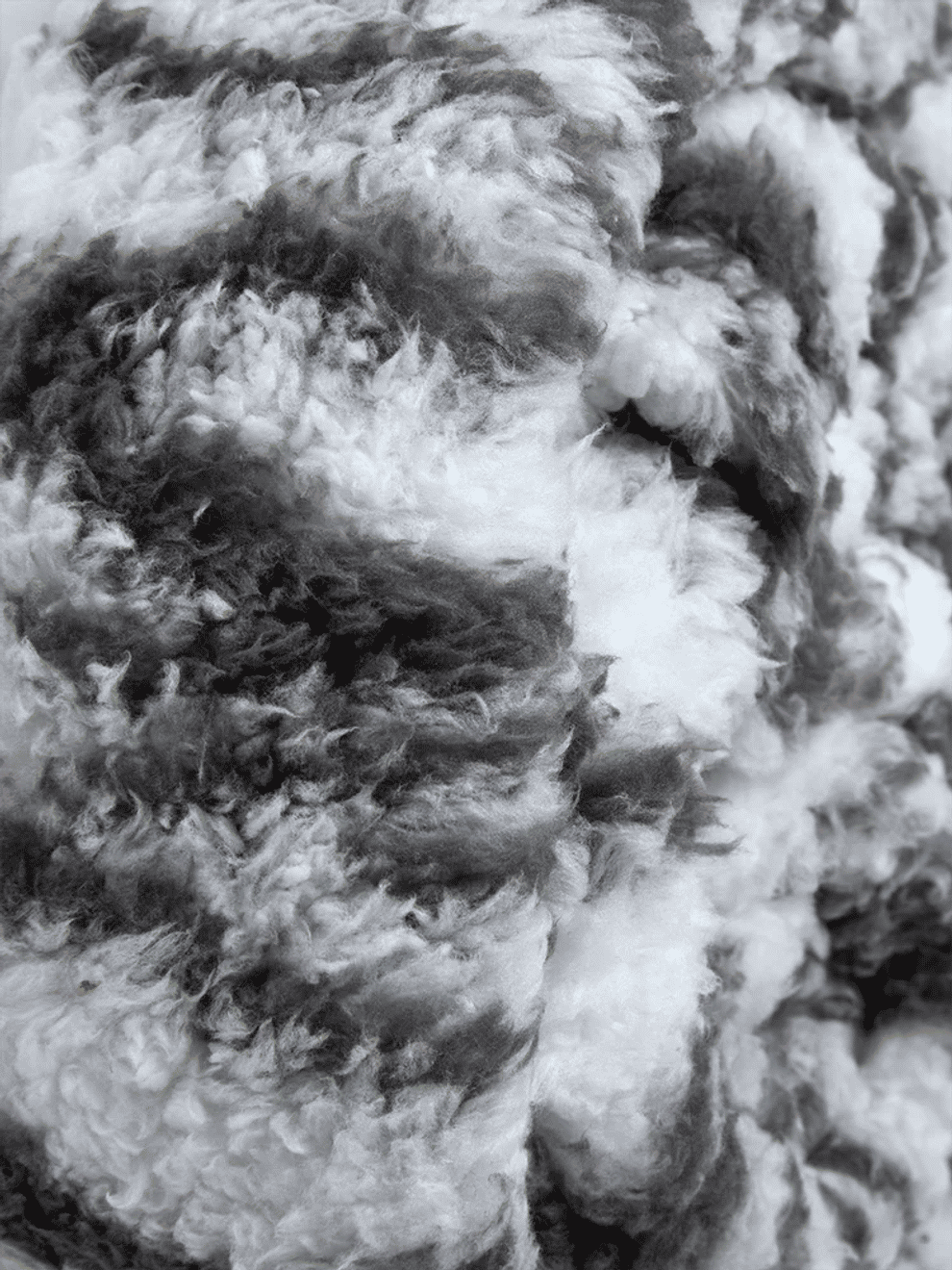 Grey Patterned Sherpa Bunk Blanket (1)