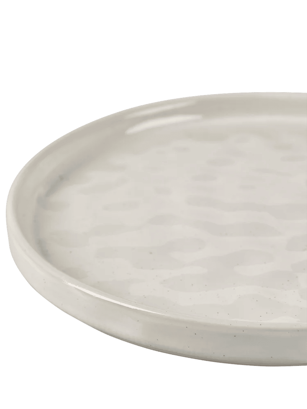 Textured Ceramic Dinner Plate (1)