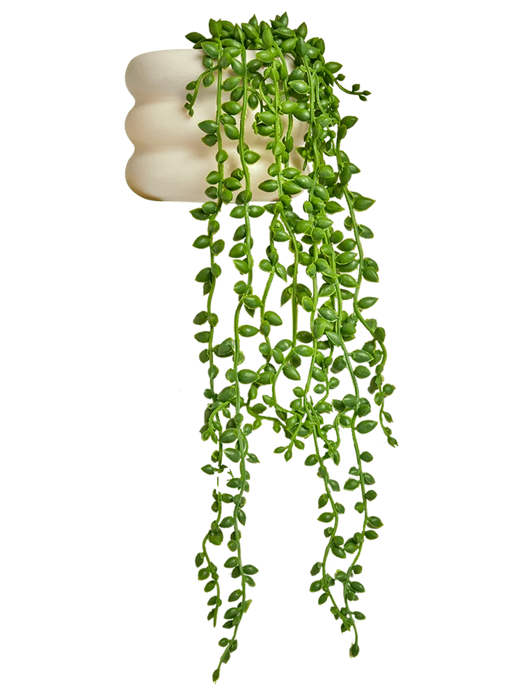 Artificial Hanging String of Pearls Plant (1)