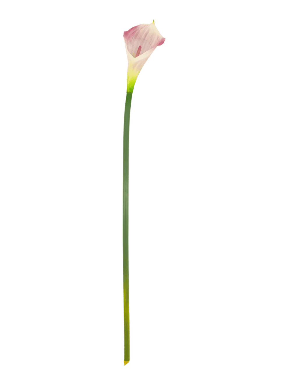 Elegant White Calla Lily Decorative Flower
