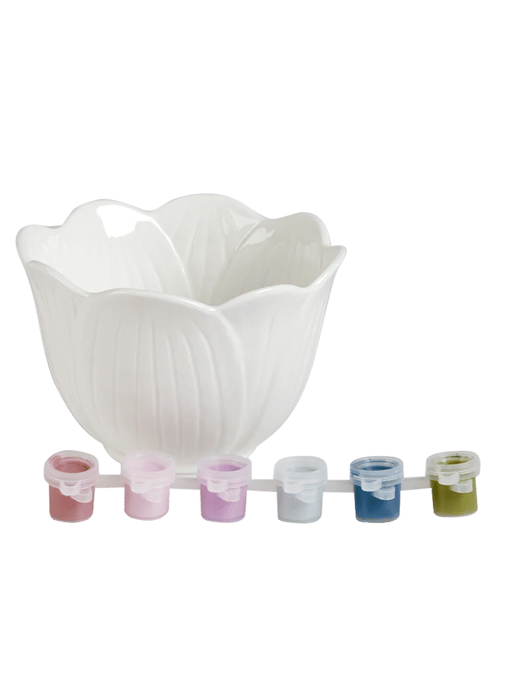 DIY Creative Bowl & Paint Set (1)